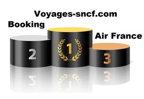 Voyages-sncf.com reste le premier de la classe e-tourisme, comme en 2014. © Minien Sheila
