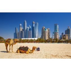 INTERNATIONAL : l’extraordinaire potentiel touristique de Dubaï