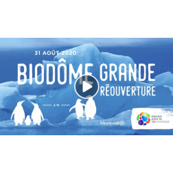 Réouverture du Biodôme de Montréal le 31 août