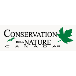Google et Conservation de la nature Canada s’associent pour la découverte de la réserve naturelle des Montagnes-Vertes en Estrie