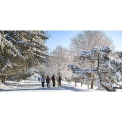 Saison hivernale : Tourisme Montérégie dresse un bilan satisfaisant