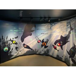Stimulation Déjà Vu crée pour l’Aquarium du Québec «EAU’DORAT le nez dans l’eau»