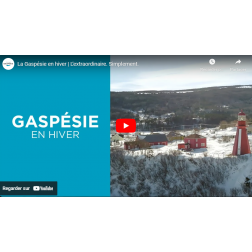 Campagne hivernale Gaspésie
