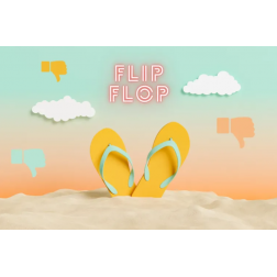 T.O.M.: Flip flop : les robots d’accueil dans le tourisme