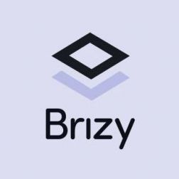 Brizy, le constructeur de page simple et efficace