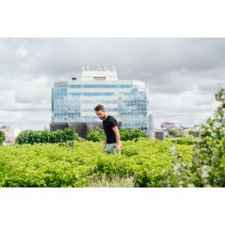 Montréal - capitale mondiale de l’agriculture urbaine