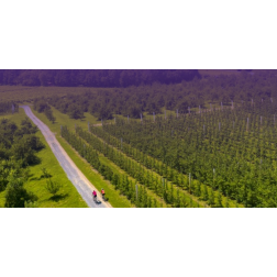 Le cyclotourisme en Montérégie : Un moteur économique en pleine croissance