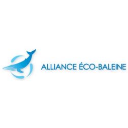 Alliance Éco-Baleine: amélioration du Règlement sur les activités en mer