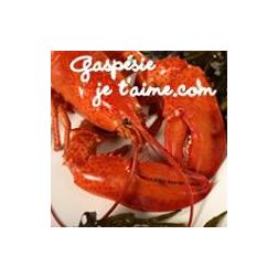En Gaspésie, le printemps se célèbre au homard!