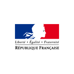 Rapport sur l'économie collaborative - Informations clés - Cas de la France